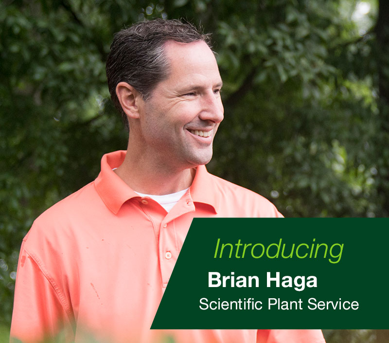 Brian Haga Scientific Plant Service